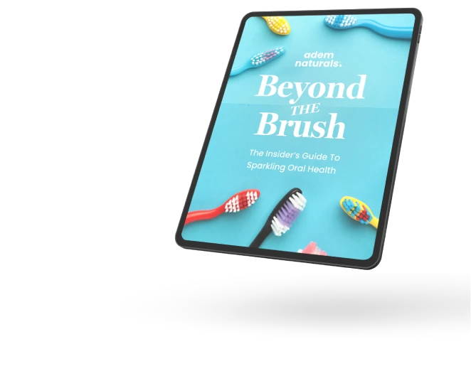 ProvaDent bonus Beyond the Brush guide